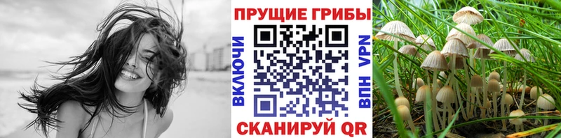 Псилоцибиновые грибы Psilocybe  наркотики  Спасск-Дальний 